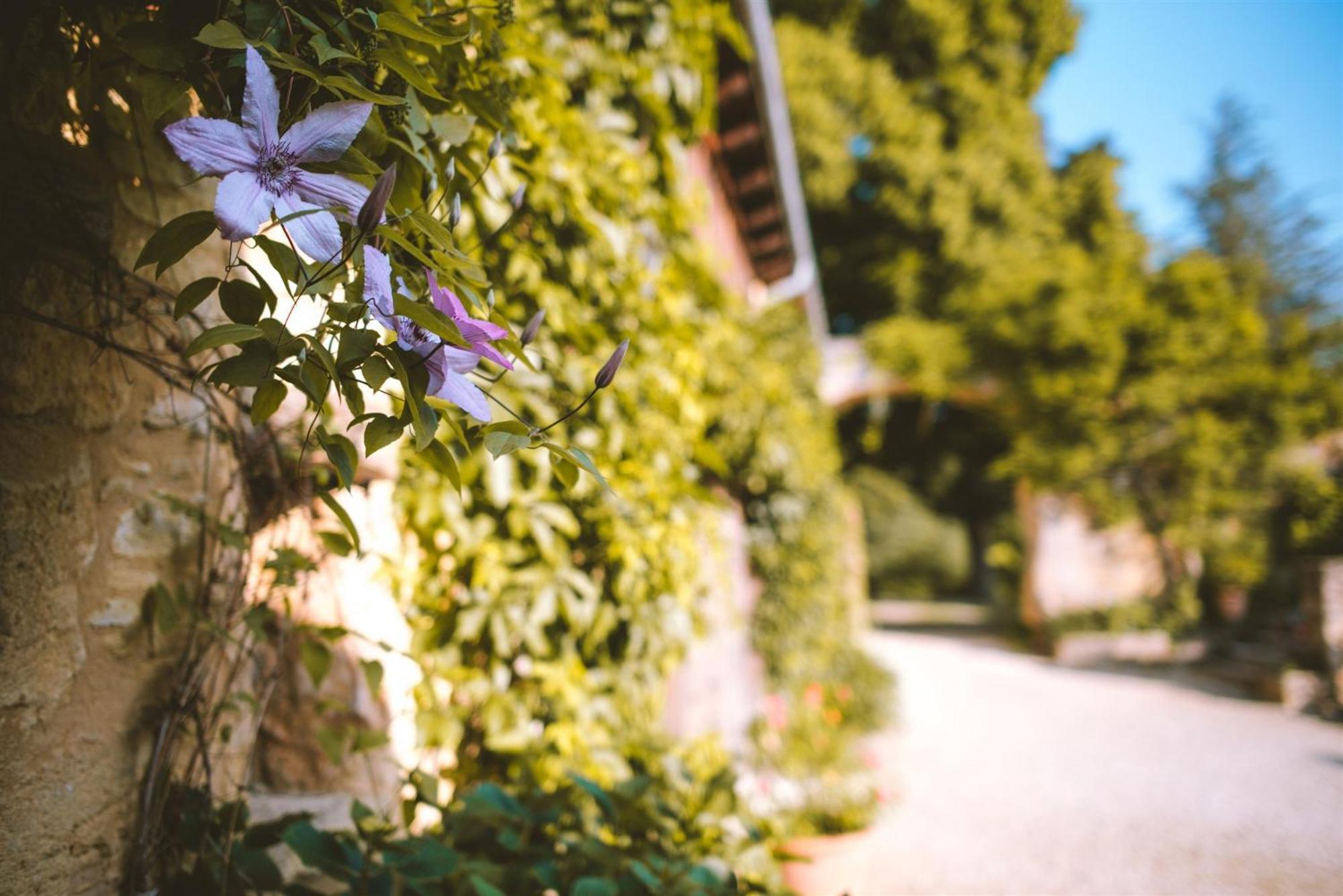 Domaine De Cournet Haut, A 17Th Century Property Set On A Calm, Idyllic Domain With Pool, Tennis, Bikes And More Les Vauries Luaran gambar